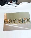 "Gay Sex" Cat Tee