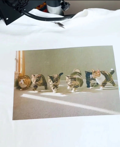 "Gay Sex" Cat Tee