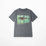 Damien Hirst Shark Museum Tee