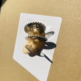 Saw Tooth Earring
