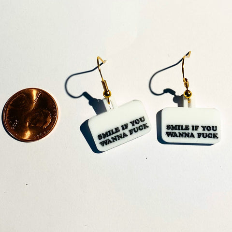 "Smile If You Wanna Fuck"  Earrings