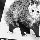 Adopt A Cat, Opossum Tee