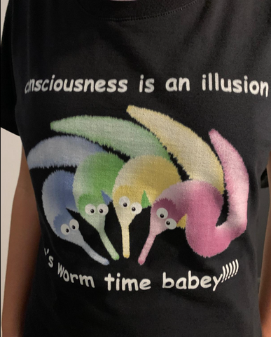 "Consciousness Is An Illusion" Tee