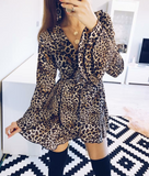 Leopard Wrap Dress