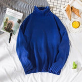 Double Double Knit Turtleneck Sweater