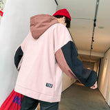 Colorblock Hoodie