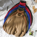 Double Double Knit Turtleneck Sweater