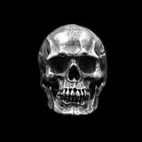 Stainless Steel Skull Ring