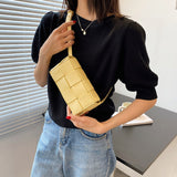 Women Belt / Shoulder Bag