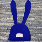 Bunny Rabbit Beanie