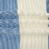 Blue Cream Corduroy Pants