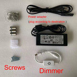 Creation Of Adam Neon Light