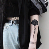 Fishnet Stockings (3 Sizes)