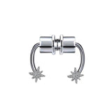 Magnet Septum Ring