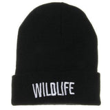 Assorted Fall Winter Beanies