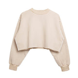 Assorted Pastel Basic Crop Top Sweater