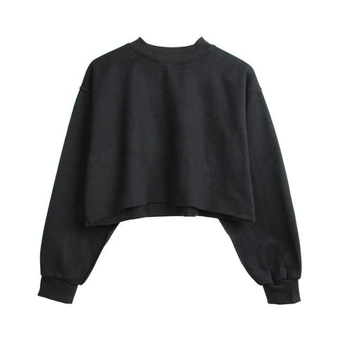 Assorted Pastel Basic Crop Top Sweater