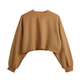 Assorted Pastel Basic Crop Top Sweater