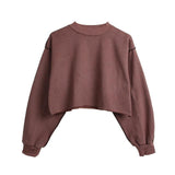 Assorted Pastel Basic Crop Top Sweater