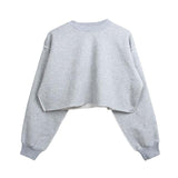 Assorted Pastel Basic Crop Top Sweater