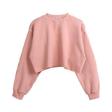 Assorted Pastel Basic Crop Top Sweater
