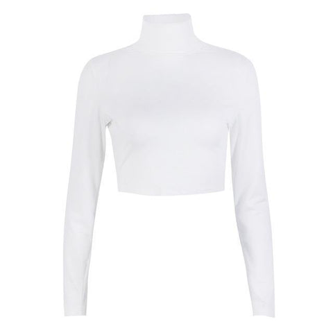 Basic Long Sleeve Crop Top