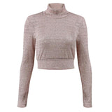 Champagne Mesh Turtleneck