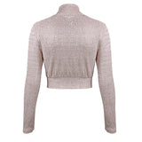 Champagne Mesh Turtleneck