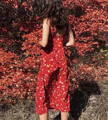 Red Floral Dress