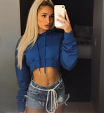 Oversized Sleeve Cropped Sweater