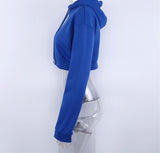 Oversized Sleeve Cropped Sweater