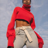 Cropped  Knitted Turtleneck Pullover