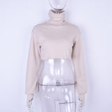 Cropped  Knitted Turtleneck Pullover