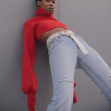 Cropped  Knitted Turtleneck Pullover