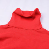 Cropped  Knitted Turtleneck Pullover