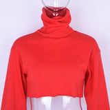 Cropped  Knitted Turtleneck Pullover