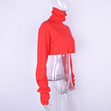 Cropped  Knitted Turtleneck Pullover