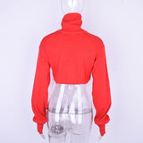 Cropped  Knitted Turtleneck Pullover