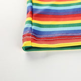 Rainbow Turtleneck Cropped Tee