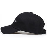 All Politicians Lie Cap