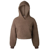 Classic Sherpa Pullover Hoodie