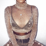 Meshed Shimmer Top