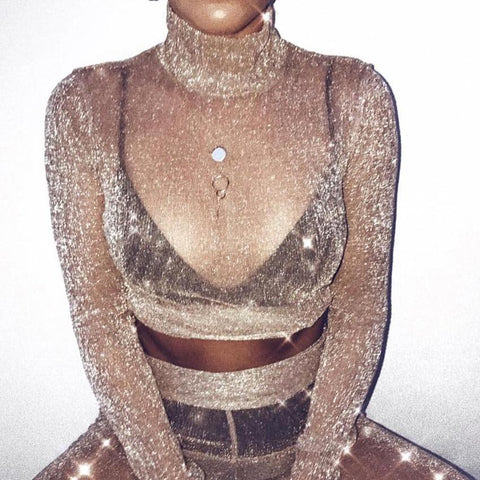 Meshed Shimmer Top
