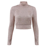 Meshed Shimmer Top