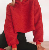 Classic Sherpa Pullover Hoodie