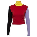 Four Color Turtleneck Sweater