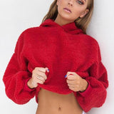 Classic Sherpa Pullover Hoodie