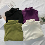 Embroidered Turtleneck Fleece Sweater
