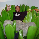 Foam Grass Sofa