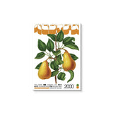 Japanese Okinawa Canvas Posters